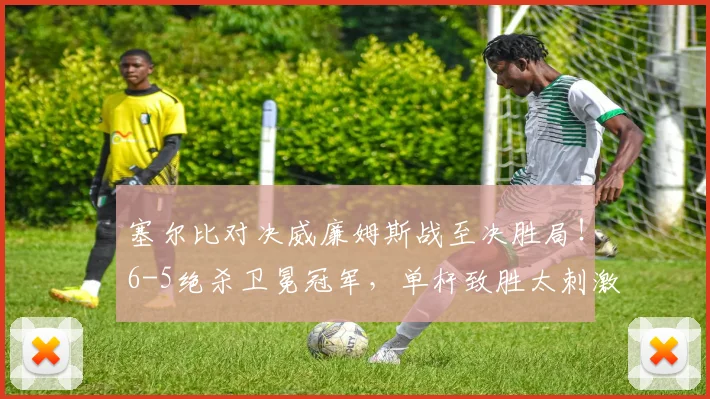 塞尔比对决威廉姆斯战至决胜局！6-5绝杀卫冕冠军，单杆致胜太刺激